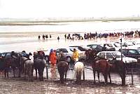 pilgrims cross the bay at low tide by foot